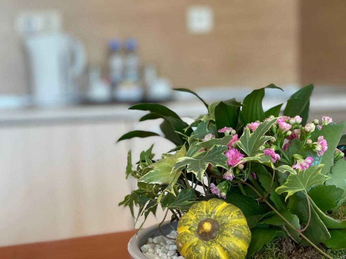 Adeona Wellness Hotel By Asteri Hotels بانسكو المظهر الخارجي الصورة